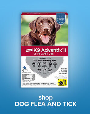 Shop Dog Flea and Tick